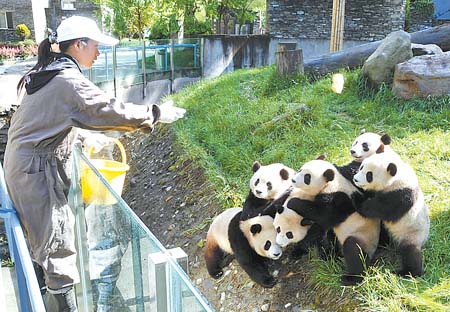 招聘饲养员_招聘信息 黑龙江养兔场招聘饲养员(3)